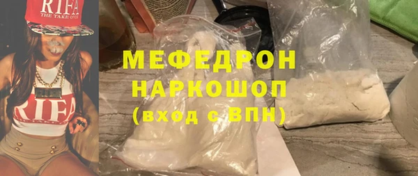 стаф Ельня