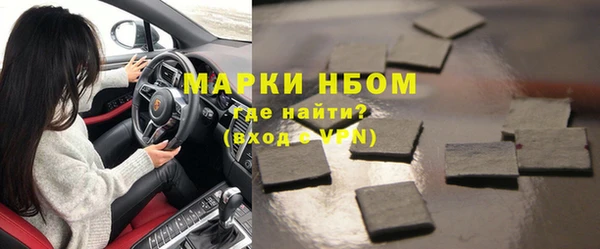 стаф Ельня