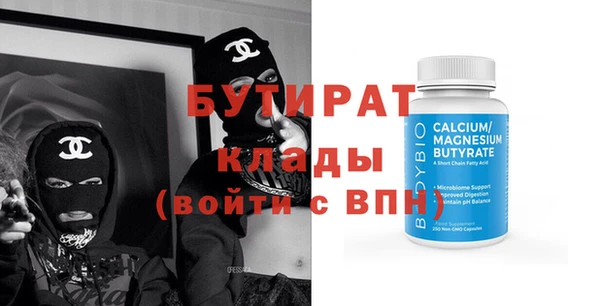стаф Ельня