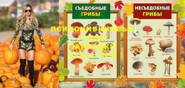 стаф Ельня