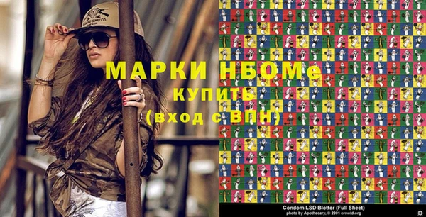 стаф Ельня