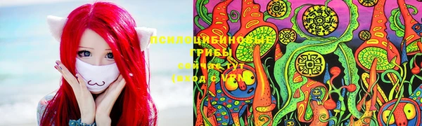 крисы Елизово