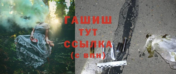 стаф Ельня