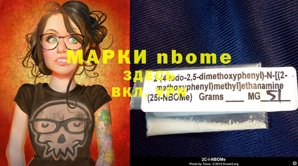 крисы Елизово