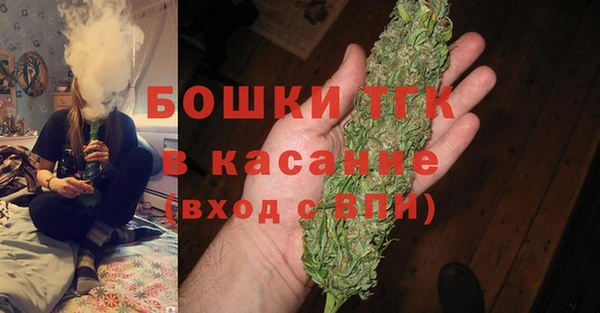 стаф Ельня