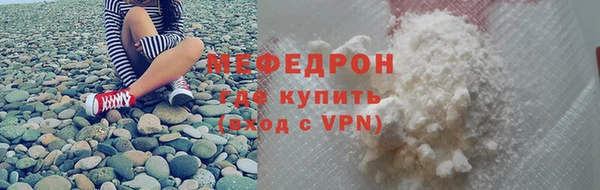 стаф Ельня