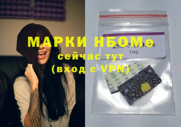 стаф Ельня