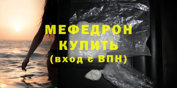 стаф Ельня