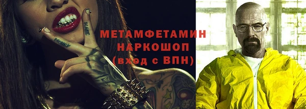 стаф Ельня